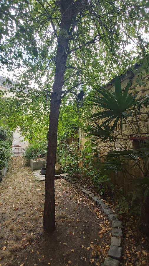 La Maison De Louise Chinon #Chateaux #Vignobles Ngoại thất bức ảnh