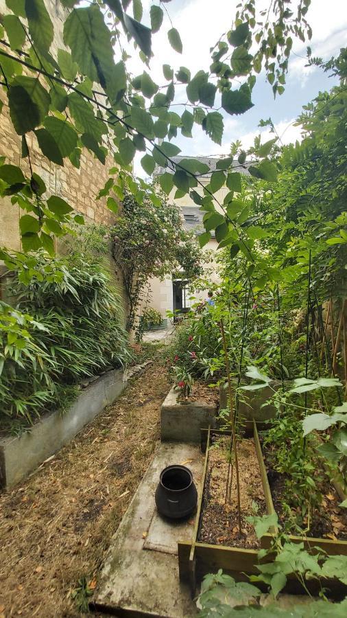 La Maison De Louise Chinon #Chateaux #Vignobles Ngoại thất bức ảnh